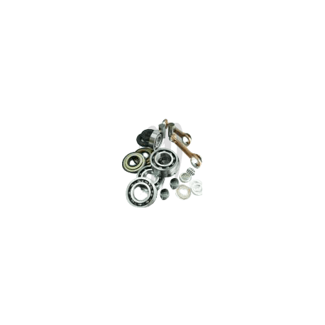 Kit de reconditionnement vilebrequin Seadoo 800cc