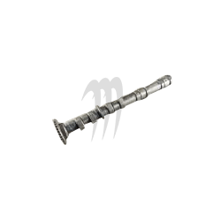 Camshaft intake