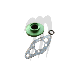 Sea-Doo RAVE Valve Rebuild Kit XP800 /Challenger /GSX /GTX /XP /Challenger 1800 /SPX
