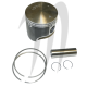 WSM USA . Plunger Platinum