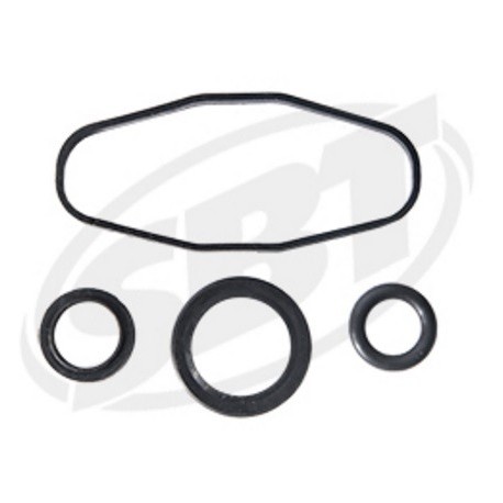 Sea-Doo RAVE Valve Rebuild Kit,  GTX DI /RX DI /LRV DI /XP DI /3D 947 DI 2000-2006